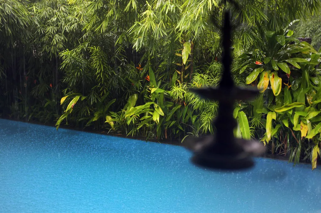 Pool area