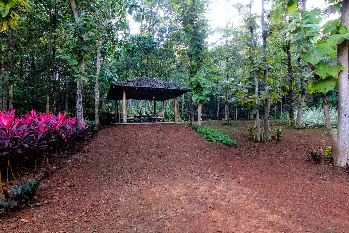 The Grounds
